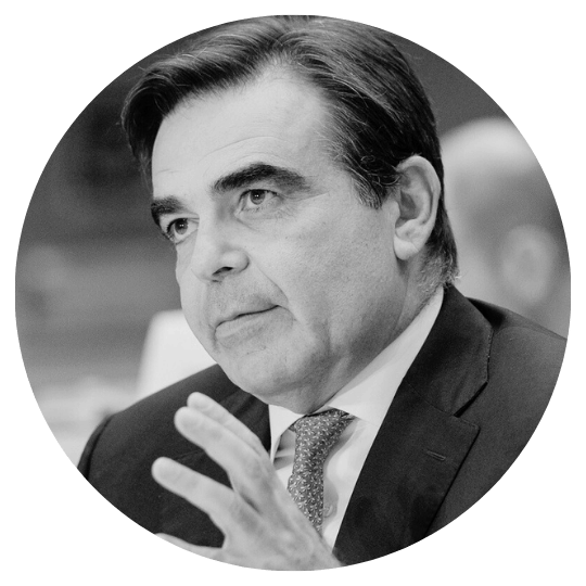 Vice presidente della Commissione Europea